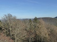 SORTIE CHATEAU FALKENSTEIN ROCHER DU FALKENBERG 08 02 2019 21